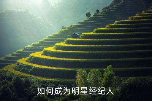 如何成为明星经纪人