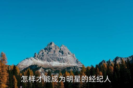 怎样才能成为明星的经纪人