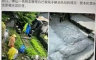 北方化所及处，佛山的菜园和树都没能保住