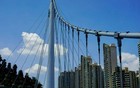 上海这两区居民沸腾！确认建成，直通仅需5分钟