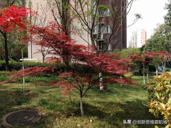 要想跟领导处好关系、共好事，就必须做到这几条！