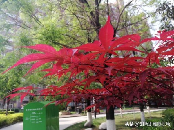 要想跟领导处好关系、共好事，就必须做到这几条！