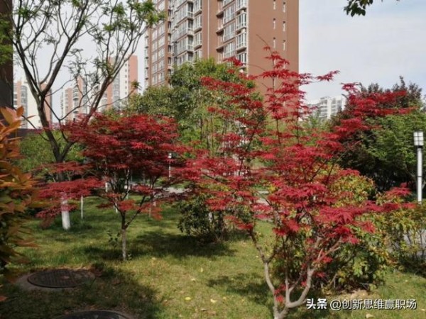 要想跟领导处好关系、共好事，就必须做到这几条！