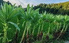 注意！负债失信后千万别做这三件事，否则有可能坐牢