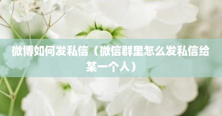 微博如何发私信（微信群里怎么发私信给某一个人）