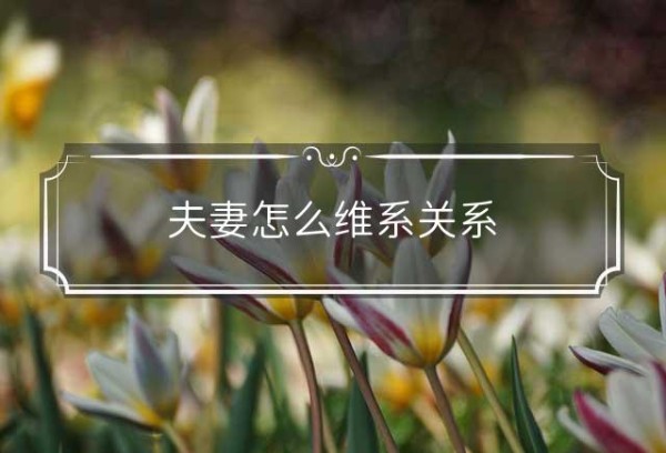 夫妻怎么维系关系