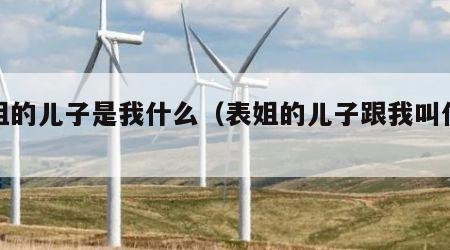 表姐的儿子是我什么（表姐的儿子跟我叫什么）