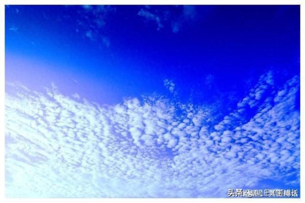 兄弟姐妹最好的相处模式，其实就是“3个词”，很准