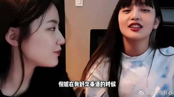 叶舒华发言引热议,网友解读其深意
