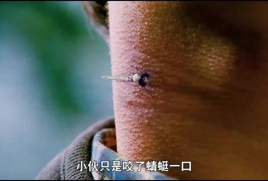 被蜻蜓咬过之后,他成了城市守护者作品二创科幻电影
