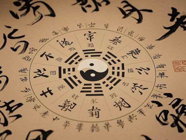 属兔人的职场人际关系:如何建立良好的工作关系?