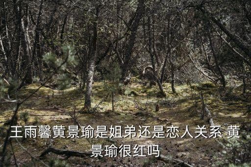 王雨馨黄景瑜是姐弟还是恋人关系 黄景瑜很红吗