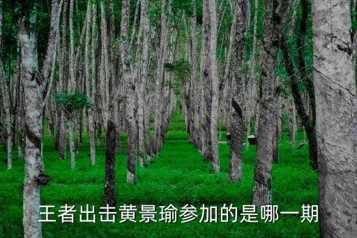 王者出击黄景瑜参加的是哪一期