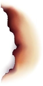 讲女明星如何被键盘侠逼死的黑色童话 《末栈之黑水》今天上线了