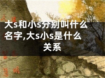 大s和小s分别叫什么名字,大s小s是什么关系