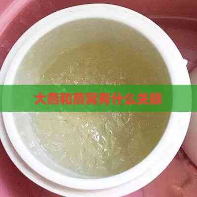 大燕和燕窝有什么关联