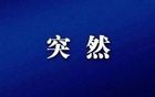 突然暴雷！总部人去楼空！多人已被抓