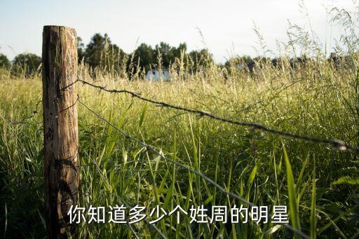 你知道多少个姓周的明星
