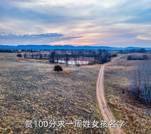 赏100分求一周姓女孩名字