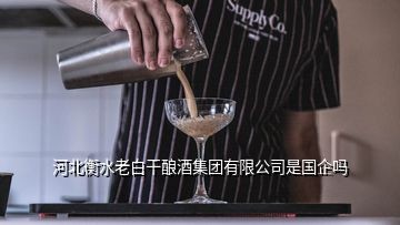 河北衡水老白干酿酒集团有限公司是国企吗