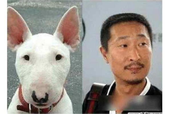 动物明星再添一员, 李荣浩也有了自己的动物代言人