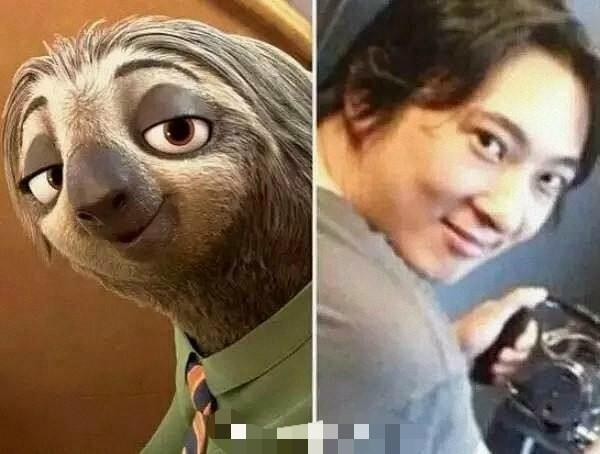 动物明星再添一员, 李荣浩也有了自己的动物代言人