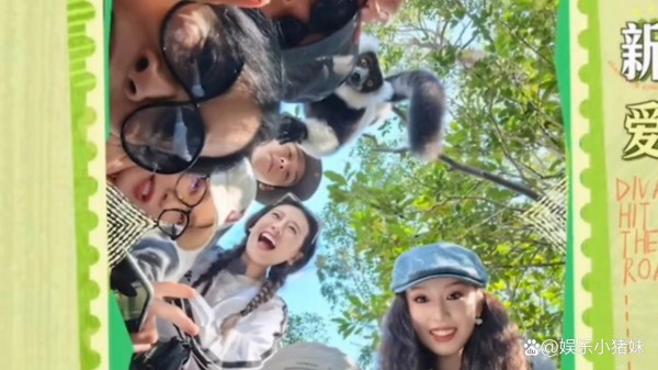 那英被猴子薅了头发，秒变搞笑表情包，这才是综艺真实感