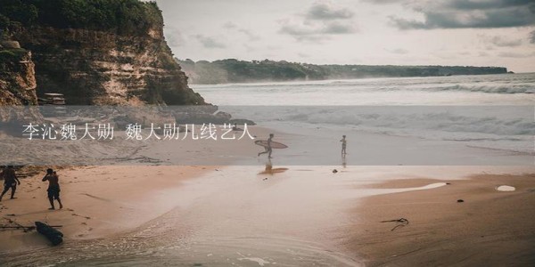 李沁魏大勋 魏大勋几线艺人