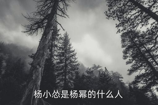 杨小怂是杨幂的什么人