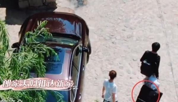 吉娜为什么喜欢黏着郎朗，怕郎朗被抢走了么？看完这些你就知道了