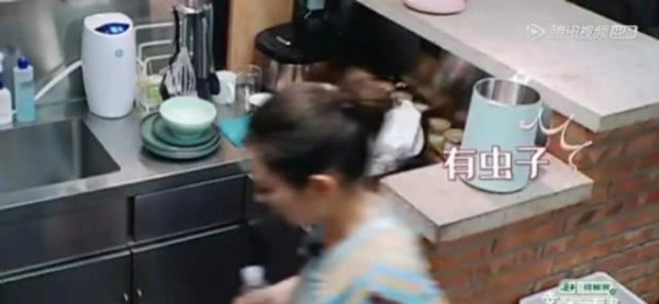 吉娜为什么喜欢黏着郎朗，怕郎朗被抢走了么？看完这些你就知道了
