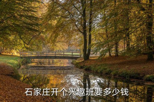 石家庄启明星学校报班多少钱,石家庄开个兴趣班要多少钱