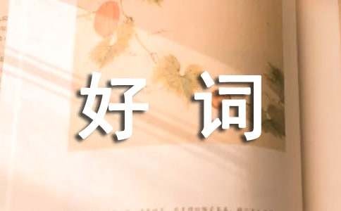 描写星星的好词汇总