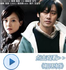 《相思树》高清收看