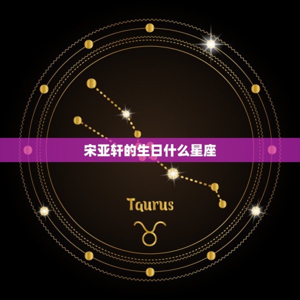 宋亚轩的生日什么星座，宋亚轩什么星座 第1张
