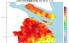 38.9℃！上海刷新今夏最高气温纪录，下周呢？