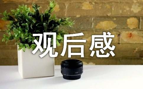 变形金刚观后感 15篇