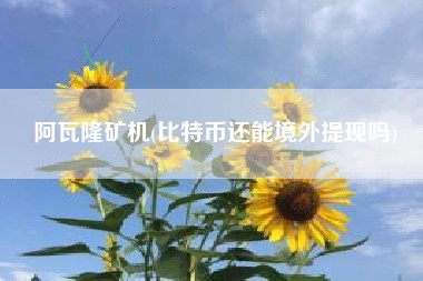 阿瓦隆矿机(比特币还能境外提现吗)