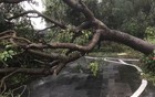 台风袭击海南：整栋楼都在晃动，不少人跑进地下车库