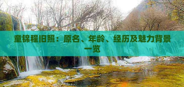 童锦程旧照：原名、年龄、经历及魅力背景一览