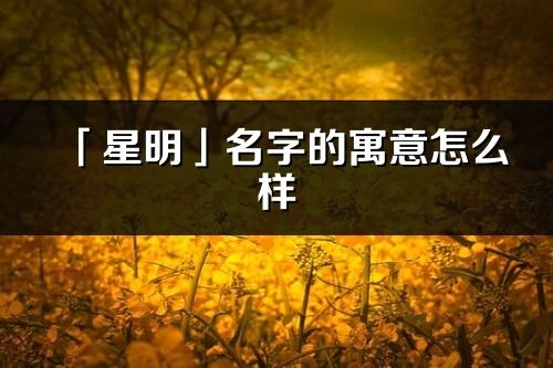 「星明」名字的寓意怎么样_星明的出处