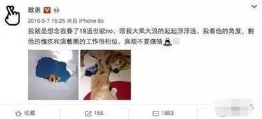 欧弟重回湖南卫视，被网友炮轰：当初你丢中国人的事都忘了？