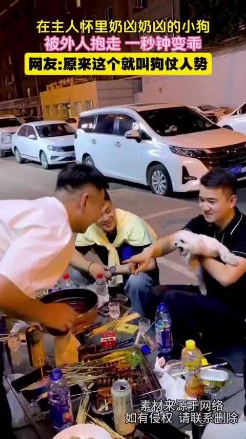 被抱走的小狗一秒变乖，狗仗人势