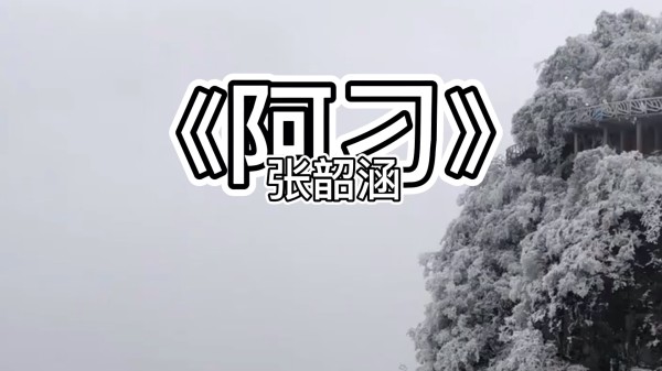 张韶涵的《阿刁》