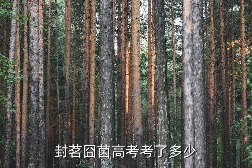 封茗囧菌高考考了多少