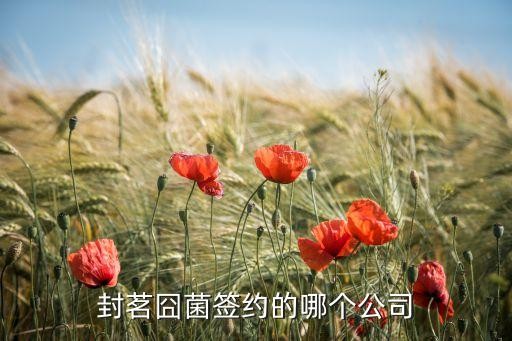 封茗囧菌签约的哪个公司