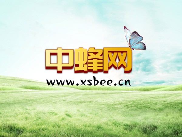 为什么说大黄蜂是擎天柱孩子 擎天柱为什么宠大黄蜂