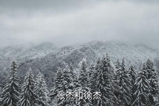 张杰和徐杰