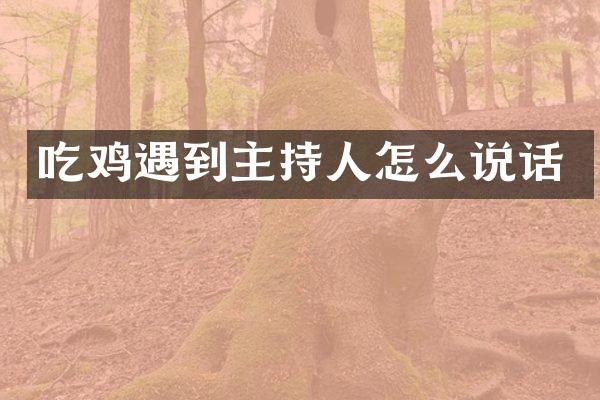 吃鸡遇到主持人怎么说话