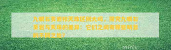 九眼石页岩和天珠区别大吗，探究九眼石页岩与天珠的差异：它们之间有哪些明显的不同之处？